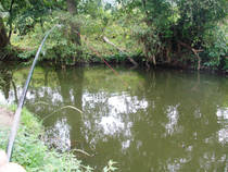 foto/diskuze/z_lovu/2013/th-img101188.jpg