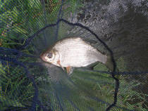 foto/diskuze/z_lovu/2013/th-img101189.jpg