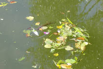 foto/diskuze/z_lovu/2013/th-img101239.jpg