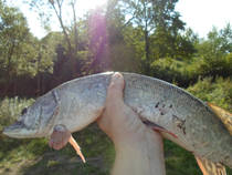 foto/diskuze/z_lovu/2013/th-img101244.jpg