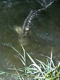 foto/diskuze/z_lovu/2013/th-img101255.jpg