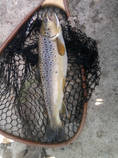 foto/diskuze/z_lovu/2013/th-img101267.jpg