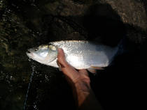 foto/diskuze/z_lovu/2013/th-img101274.jpg