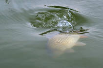 foto/diskuze/z_lovu/2013/th-img101346.jpg
