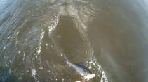foto/diskuze/z_lovu/2013/th-img101434.jpg