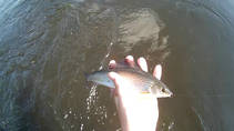 foto/diskuze/z_lovu/2013/th-img101435.jpg