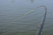 foto/diskuze/z_lovu/2013/th-img101438.jpg
