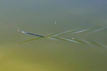 foto/diskuze/z_lovu/2013/th-img101477.jpg