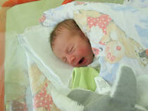 foto/diskuze/z_lovu/2013/th-img101491.jpg
