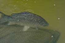 foto/diskuze/z_lovu/2013/th-img101625.jpg