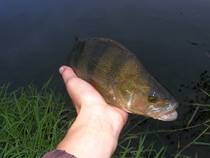 foto/diskuze/z_lovu/2013/th-img101753.jpg