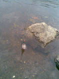 foto/diskuze/z_lovu/2013/th-img101839.jpg