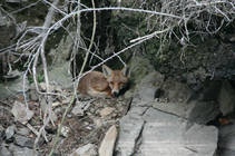 foto/diskuze/z_lovu/2013/th-img101879.jpg