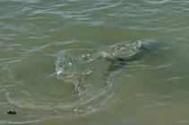 foto/diskuze/z_lovu/2013/th-img101959.jpg