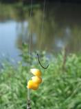 foto/diskuze/z_lovu/2013/th-img102033.jpg