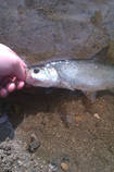 foto/diskuze/z_lovu/2013/th-img102159.jpg