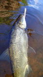 foto/diskuze/z_lovu/2013/th-img102213.jpg