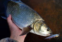 foto/diskuze/z_lovu/2013/th-img102214.jpg