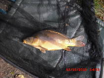 foto/diskuze/z_lovu/2013/th-img102216.jpg