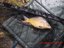 foto/diskuze/z_lovu/2013/th-img102219.jpg