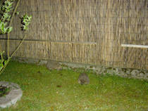foto/diskuze/z_lovu/2013/th-img102230.jpg