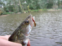 foto/diskuze/z_lovu/2013/th-img102349.jpg