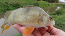 foto/diskuze/z_lovu/2013/th-img102421.jpg