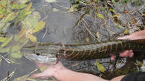 foto/diskuze/z_lovu/2013/th-img102422.jpg