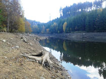 foto/diskuze/z_lovu/2013/th-img102424.jpg