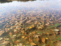 foto/diskuze/z_lovu/2013/th-img102425.jpg