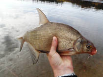 foto/diskuze/z_lovu/2013/th-img102426.jpg