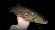 foto/diskuze/z_lovu/2013/th-img102439.jpg