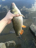 foto/diskuze/z_lovu/2013/th-img102486.jpg
