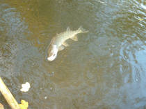 foto/diskuze/z_lovu/2013/th-img102515.jpg