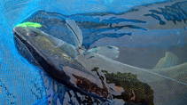 foto/diskuze/z_lovu/2013/th-img102520.jpg
