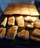 foto/diskuze/z_lovu/2013/th-img102547.jpg