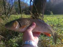 foto/diskuze/z_lovu/2013/th-img102552.jpg