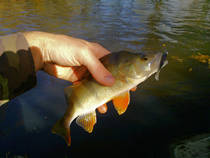 foto/diskuze/z_lovu/2013/th-img102553.jpg