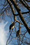 foto/diskuze/z_lovu/2013/th-img102607.jpg