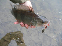 foto/diskuze/z_lovu/2013/th-img102631.jpg