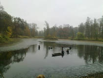 foto/diskuze/z_lovu/2013/th-img102666.jpg