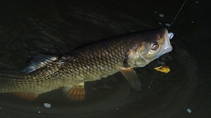 foto/diskuze/z_lovu/2013/th-img102801.jpg