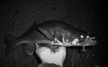 foto/diskuze/z_lovu/2013/th-img102857.jpg