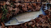 foto/diskuze/z_lovu/2013/th-img103202.jpg