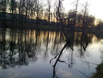 foto/diskuze/z_lovu/2013/th-img103310.jpg