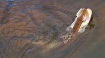 foto/diskuze/z_lovu/2013/th-img103360.jpg
