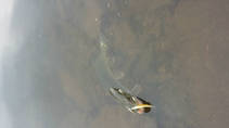foto/diskuze/z_lovu/2013/th-img103377.jpg