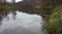 foto/diskuze/z_lovu/2013/th-img103435.jpg