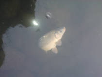 foto/diskuze/z_lovu/2013/th-img103611.jpg