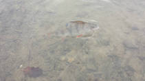 foto/diskuze/z_lovu/2013/th-img103630.jpg